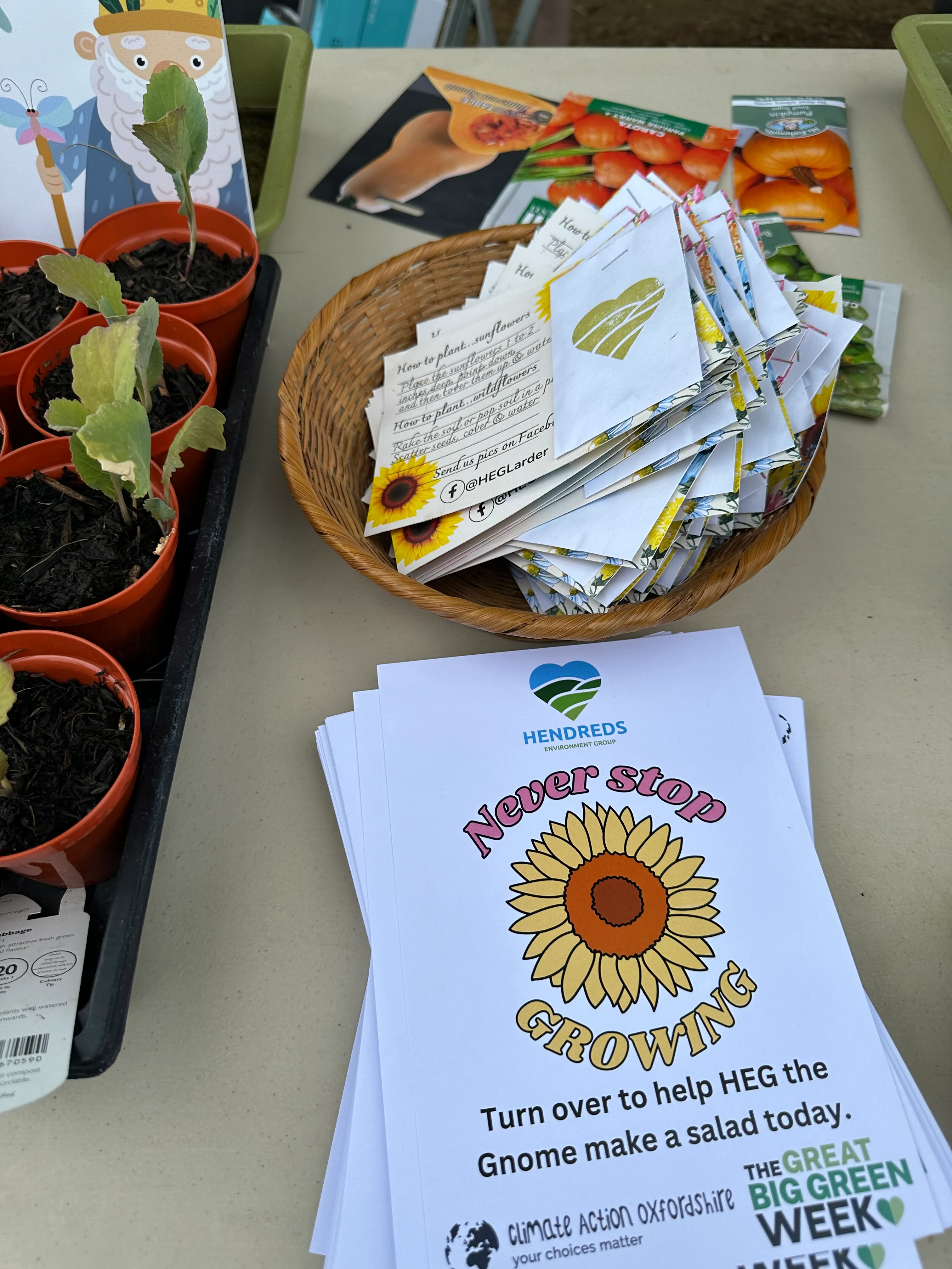 A HEG stall with seed packets, growing leaflets and young plants